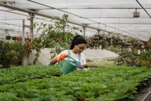 Net Zero Jobs